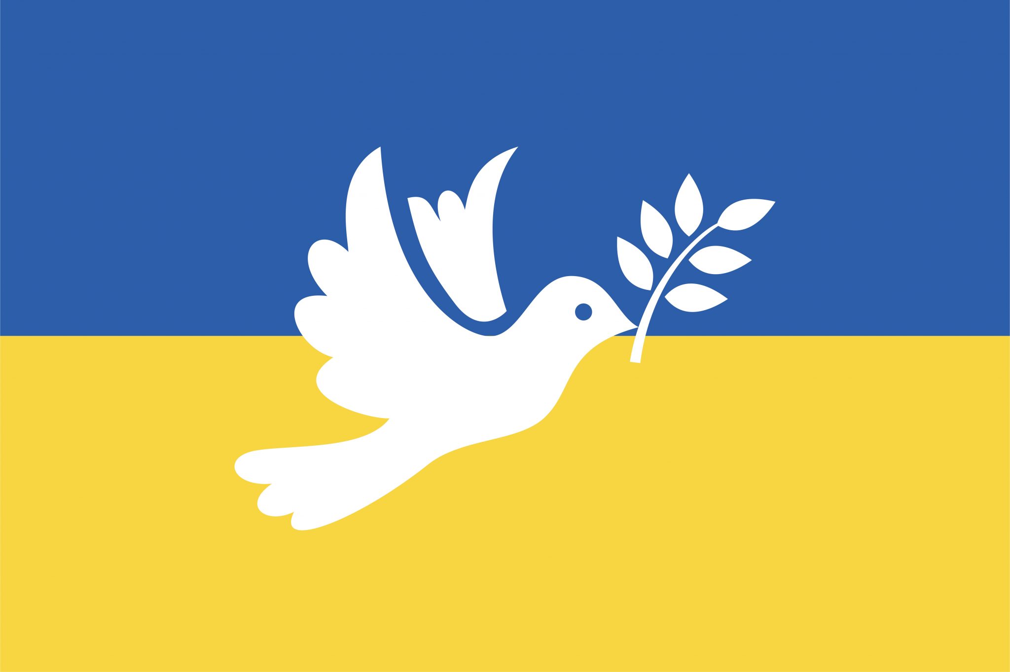 SOLIDARITÄTSERKLÄRUNG